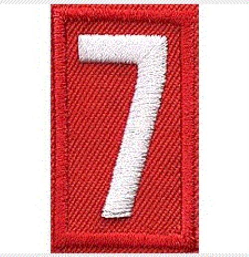 Image result for scout number patch 7